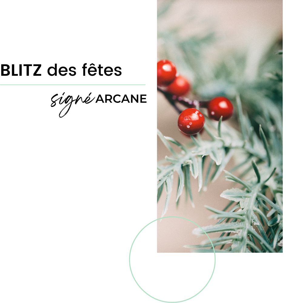 Blitz du temps des fêtes